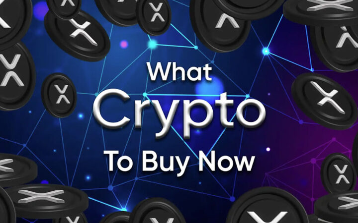 What Crypto to Buy Now: This Promising Token Could Bring Huge Returns