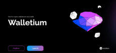 Walletium aims to reduce the gap between traditional finance and Web3 by allowing users to manage their crypto portfolio through a simple Telegram chat window.