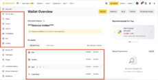 Binance Wallet overview and trading options from a web page interface