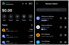 The web interface of the Bybit Wallet Chrome extension