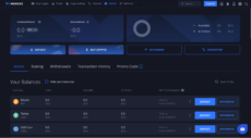 Margex Wallet Web Interface with Assets, Staking, Withdrawals and Transaction History