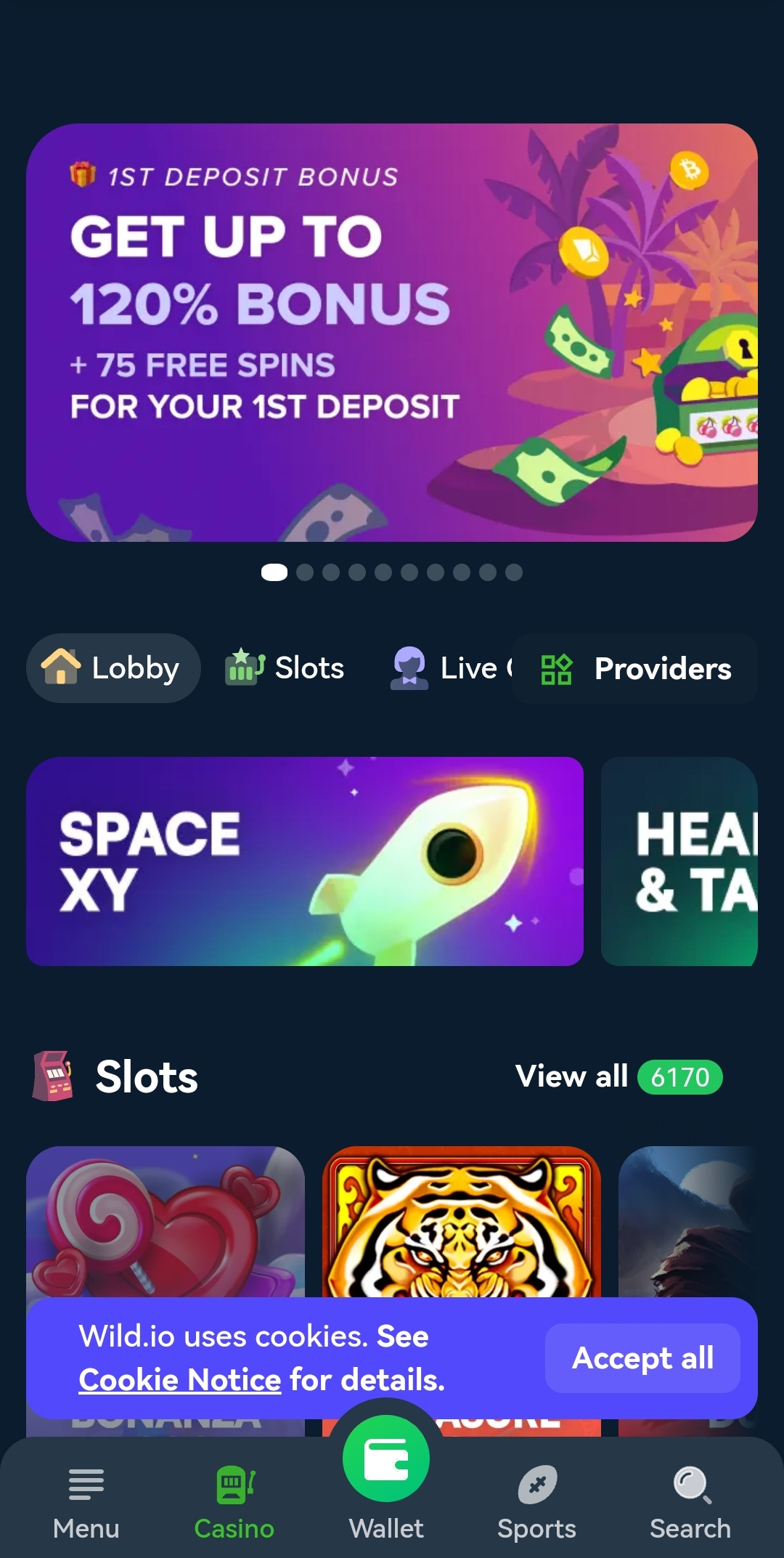 wild.io homepage