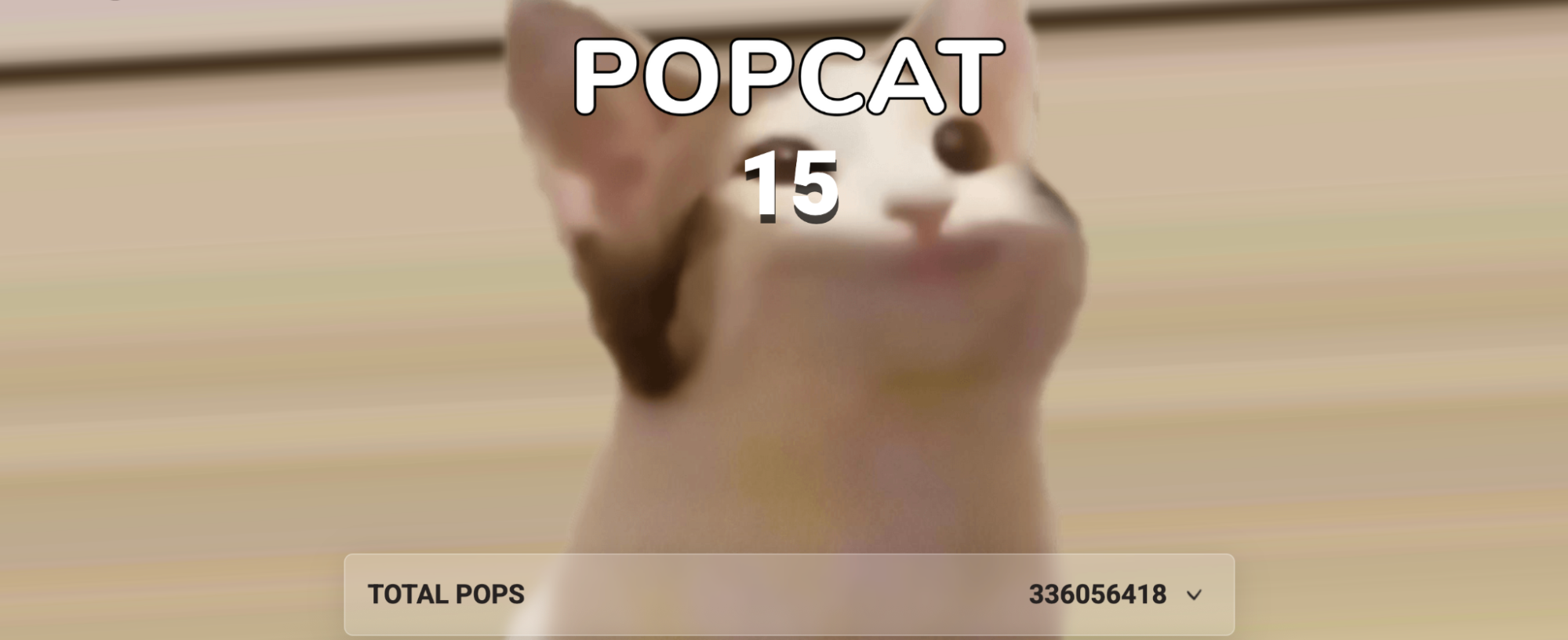 Popcat project
