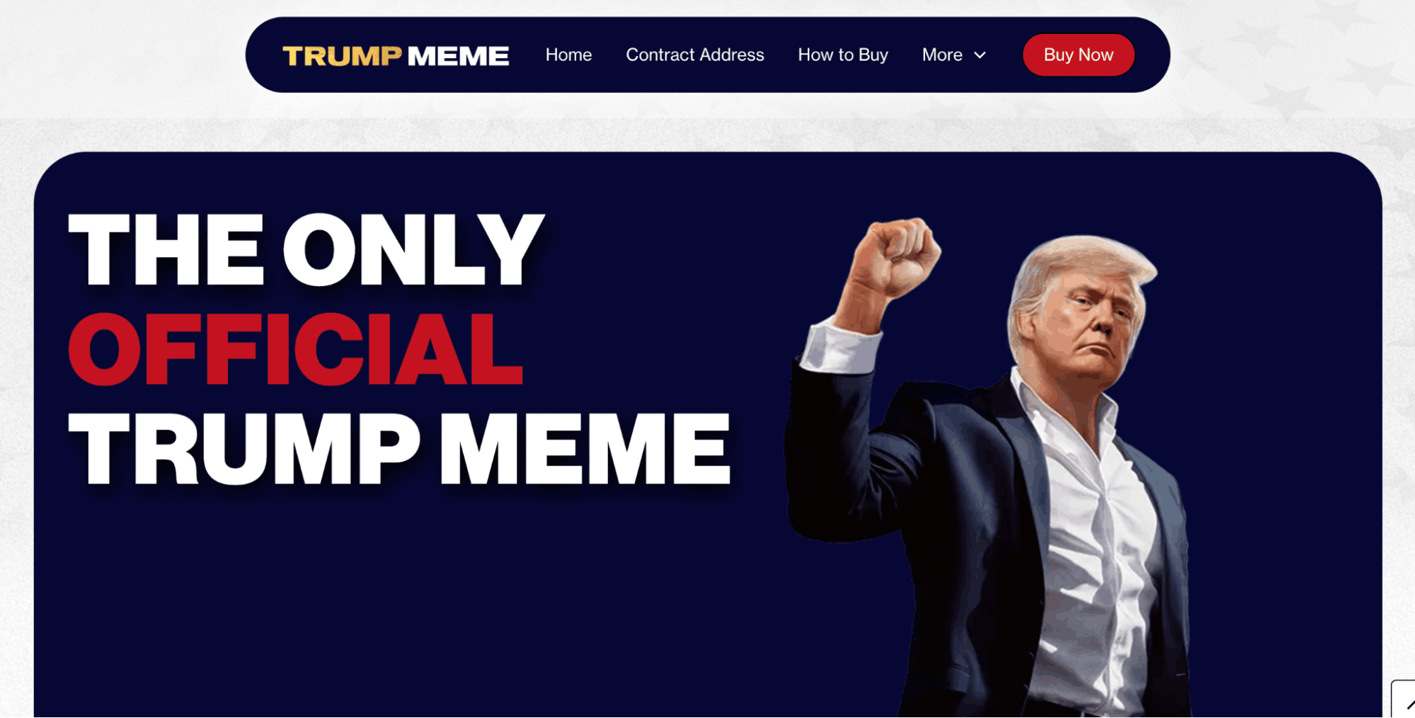 Trump coin project
