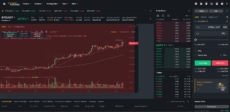 Binance Futures Web Interface