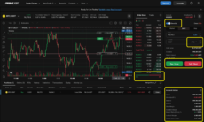 PrimeXBT Web Interface