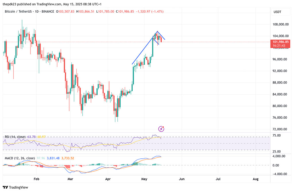 Bitcoin Wallets with at Least 1 BTC Fall as Digital Asset Eyes $100K Retest