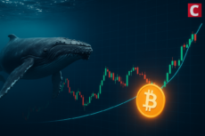 Bitcoin Whales Flash Top Signal, BTC Price Needs to Hold This Support