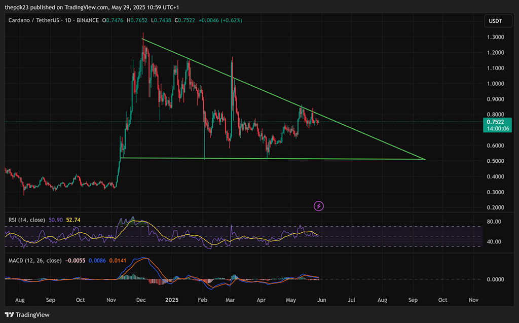 Cardano Price Prediction: ADA Could Flip Solana in 2025, Says Crypto Analyst