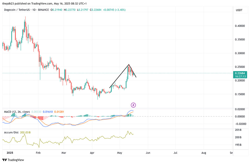 Dogecoin Forms Bullish Pattern as Whale Accumulation Points to Massive Rally