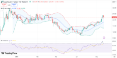 HYPE price chart with RSI and Bollinger Bands | Source: Trading View