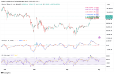 Bitcoin Daily Chart | Source: TradingView