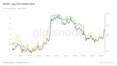DOGE Long Term Holder NUPL | Source: GlassNode