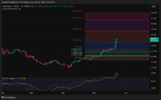 HYPE Daily Chart with Fib Levels | Source: TradingView