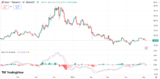 AVAX price chart | Source: Trading View
