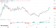 HYPE price chart with MACD | Source: Trading View