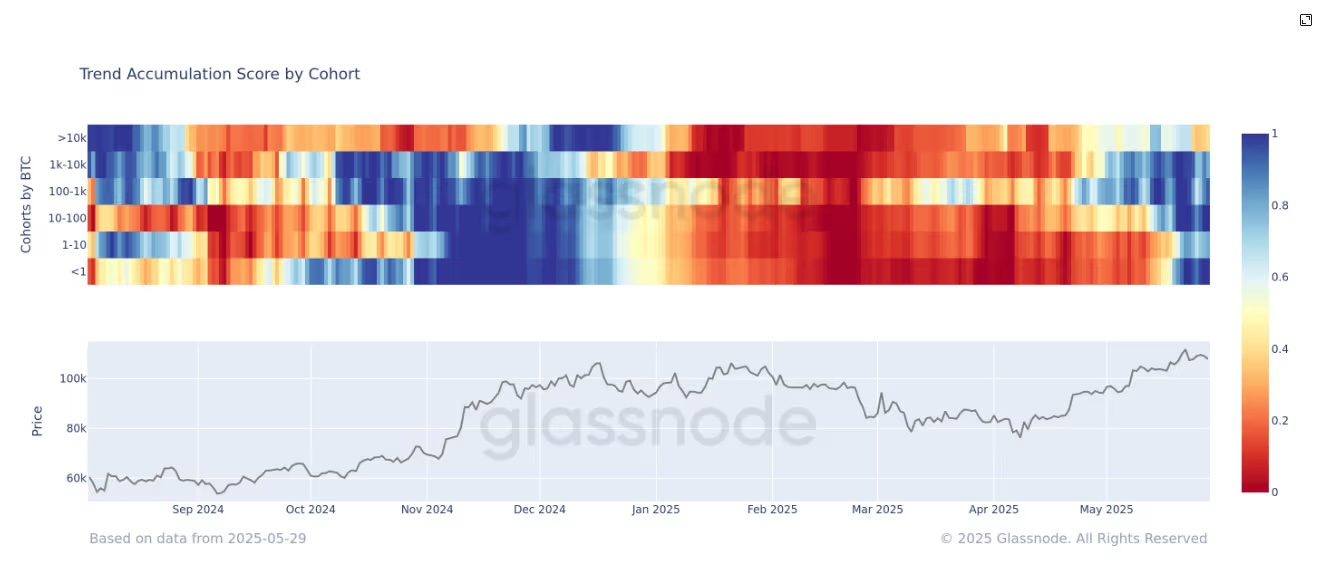 Bitcoin whale distribution pattern 