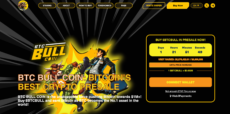 Bitcoin Bull project
