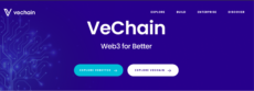 veChain project