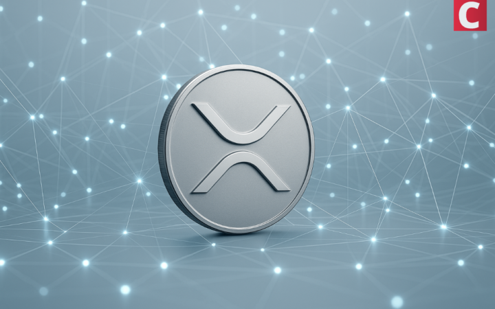 Ripple CTO Clarifies XRP Has No Issuer and Explains Decentralization Beyond Leadership