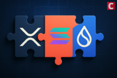 Everything Blockchain to Make Strategic XRP, Solana, and SUI Allocation