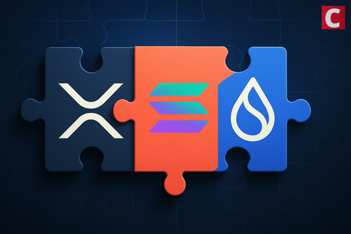 Everything Blockchain to Make Strategic XRP, Solana, and SUI Allocation