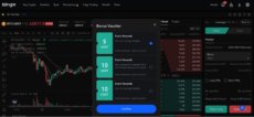 BingX Web Interface