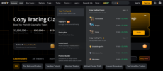 Bybit Copy Trading Dashboard