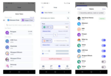 Best Wallet Interface