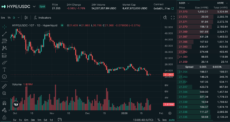 Hyperliquid perpetuals dashboard showing HYPE/USDC trading and orderbook