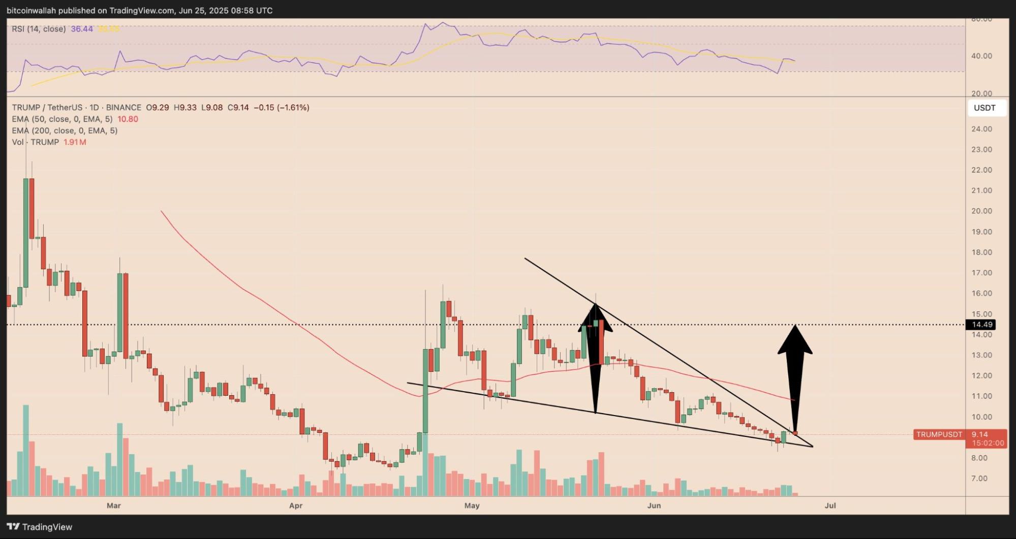 TRUMP meme coin breakout
