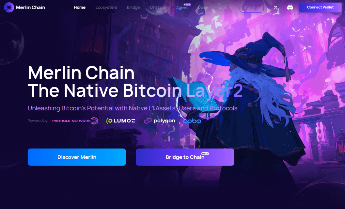 Merlin Chain homepage
