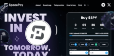 SpacePay presale page
