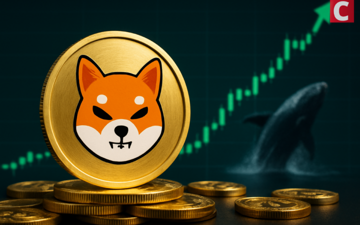 Shiba Inu (SHIB) Price Finds Its Floor? Big Buyers Think So