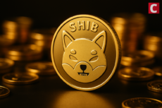 Shiba Inu Price Prediction: Exchange Order Books Flash 3.1 Trillion SHIB Demand Signal