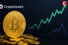 CryptoQuant: It’s Time for Bitcoin — Altseason Might Be Long Gone