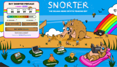 Snorter Bot presale homepage featuring the trading bot project and token sale details