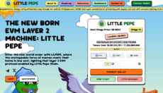 little pepe presale homepage