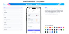 Best Wallet ecosystem overview chart