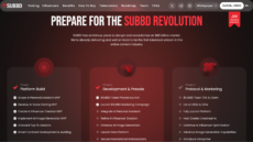 Subbd website displaying roadmap steps for the project