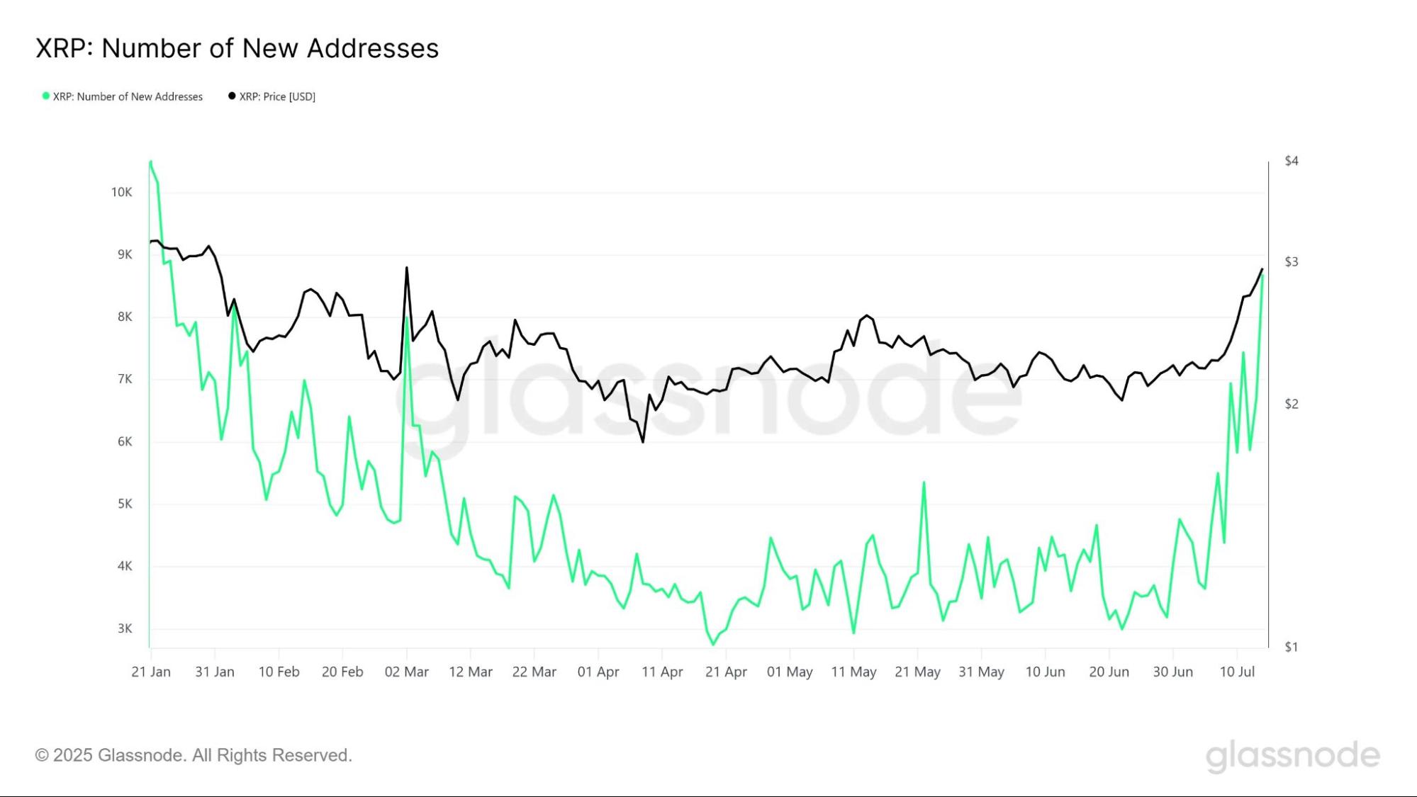 New XRP Addresses Rising 