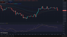 PEPE Price Chart
