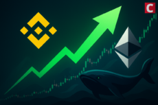 Two More Reasons for Another Bull Market: Binance, ETH Whales