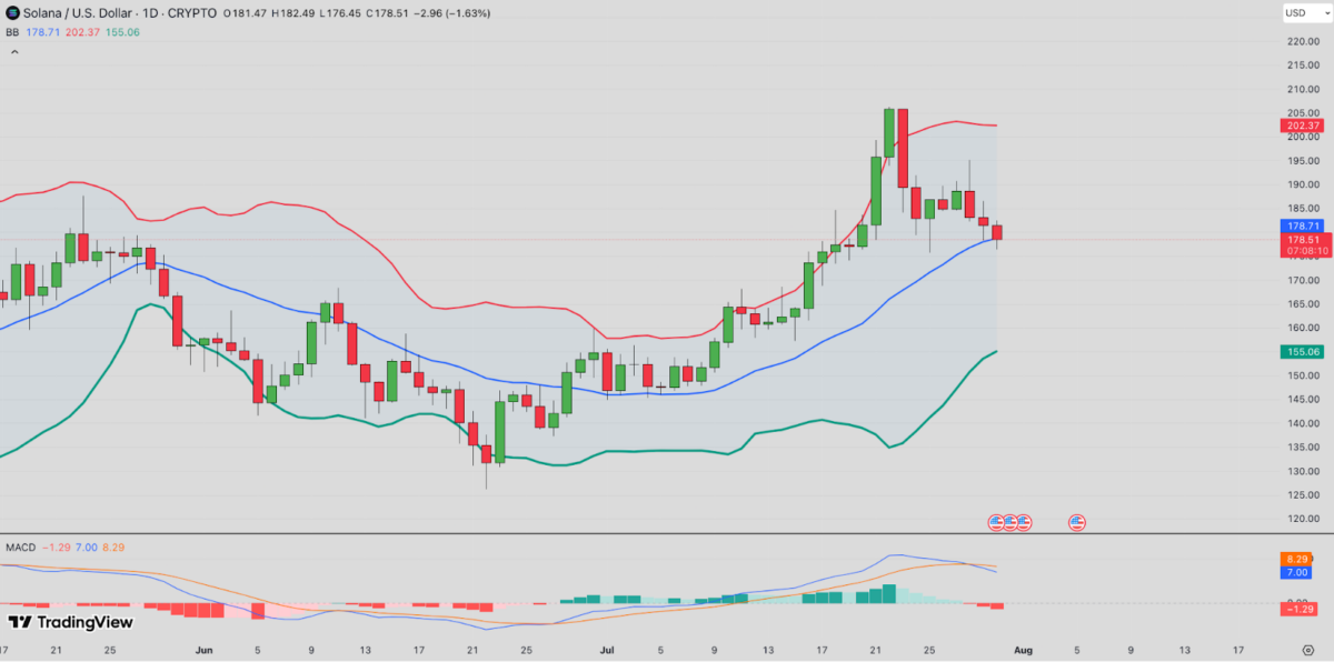 Solana Price Prediction | SOLUSD 24H | TradingView