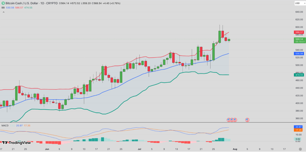 Bitcoin Cash Price Forecast | BCHUSD 24H Chart | TradingView
