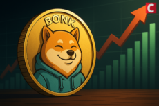 Will BONK Price Rally Continue After 60% Weekly Gains?