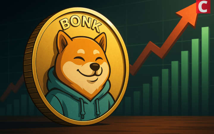 Will BONK Price Rally Continue After 60% Weekly Gains?