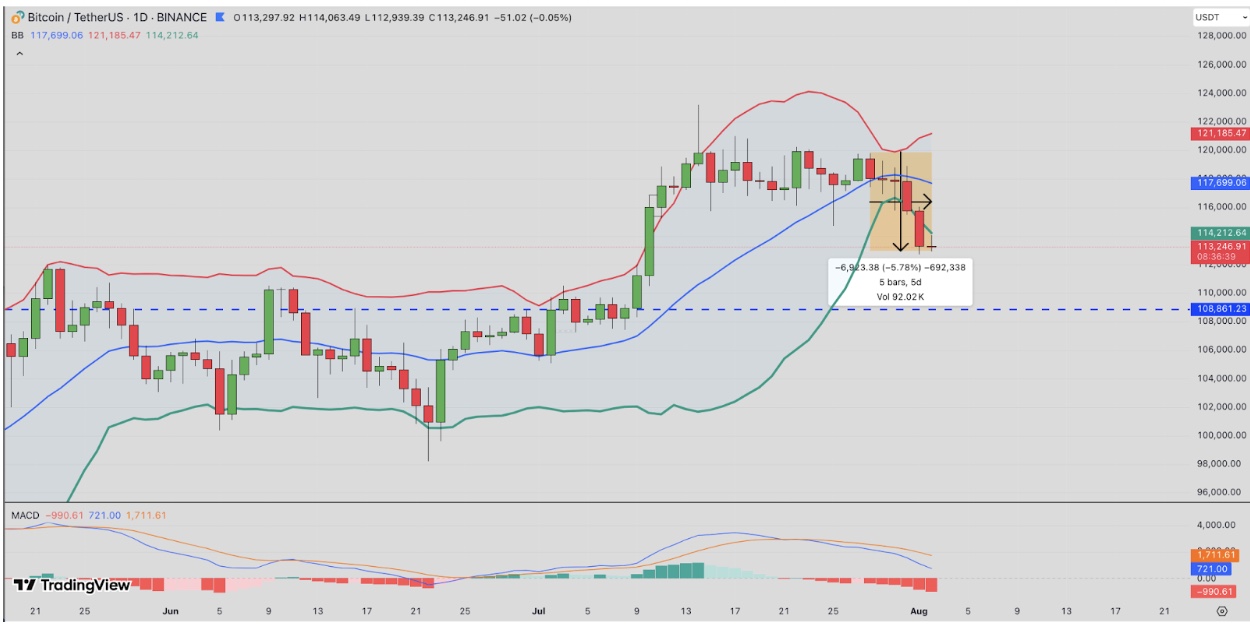 Bitcoin Price Forecast | Source: TradingView
