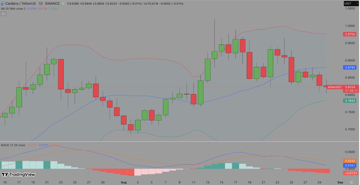 Cardano (ADA) Technical Price Analysis | TradingView | ADAUSDT 24H Chart, August 30 2025