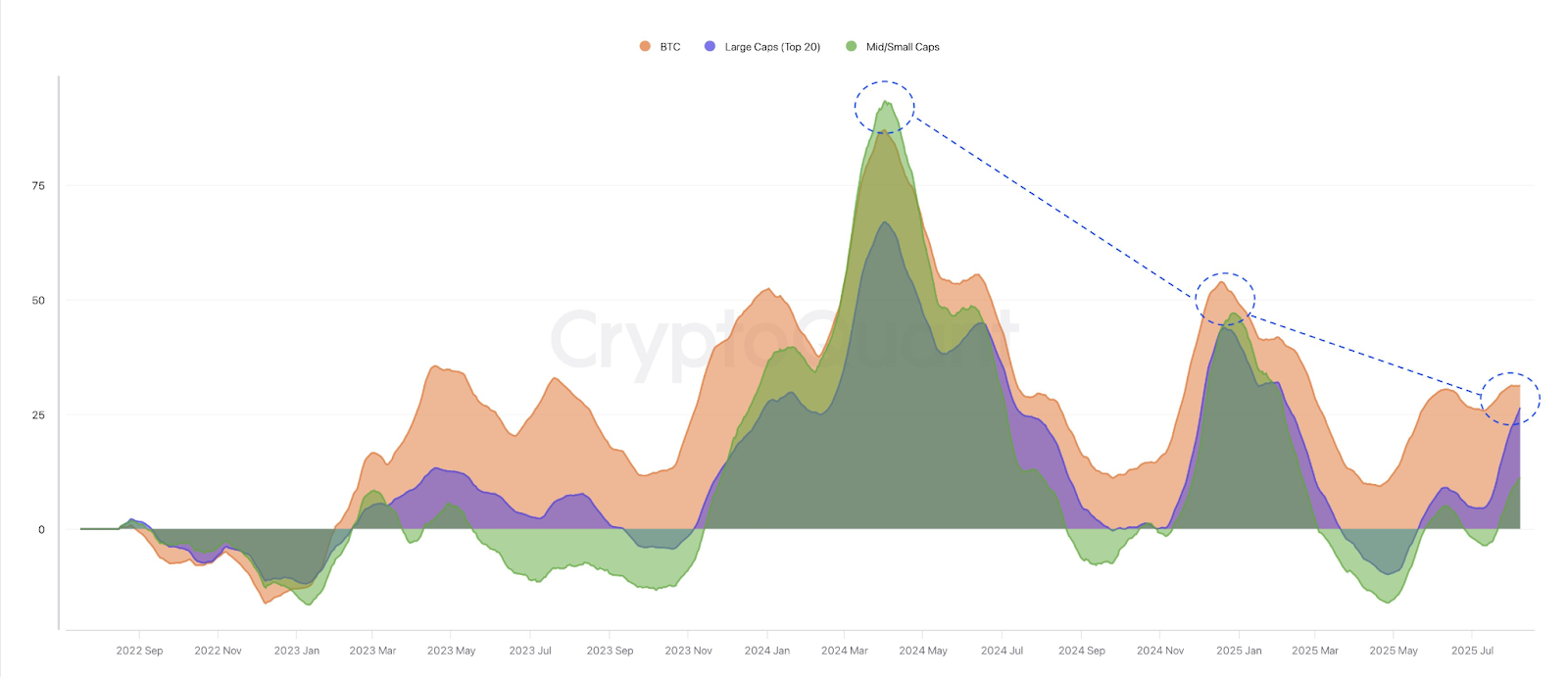 Comparison: BTC, Top 20, and Small Cap Tokens | Source: Darkfost